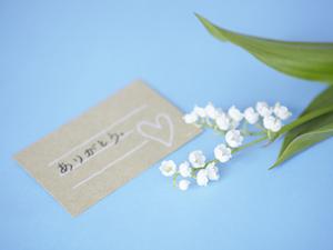 新鮮な信頼できるふぐを販売しています