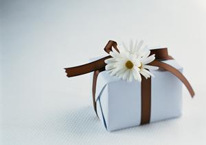 フルカラー印刷が安い「名刺印刷ショップドットコム」