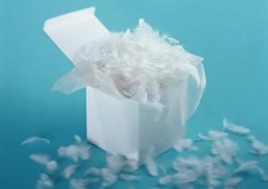 靴の通販は「あしながおじさん」